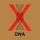DNA Not A Match