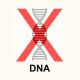 DNA Not A Link